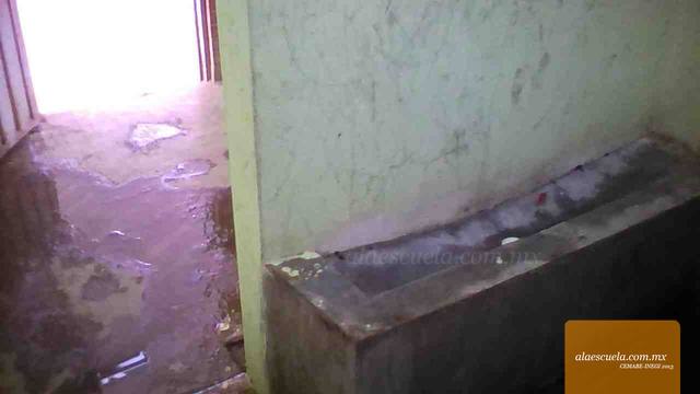 Áreas (vista previa)