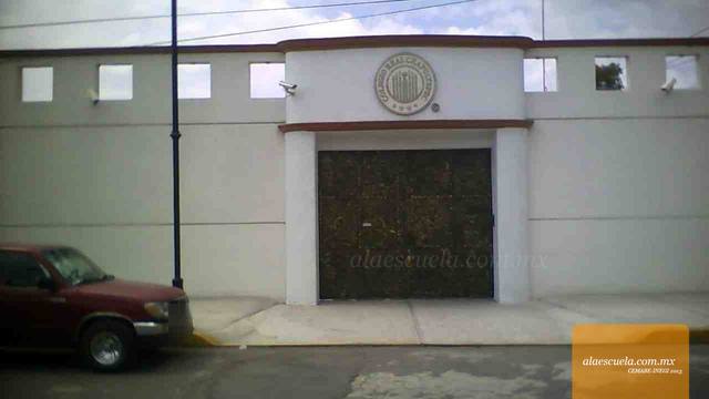 Entrada (vista previa)