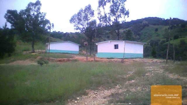 Entrada (vista previa)