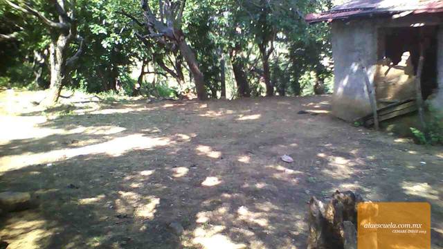 Áreas (vista previa)