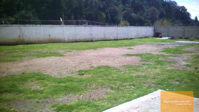 Áreas (vista previa)