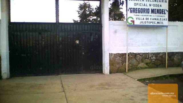 Entrada (vista previa)