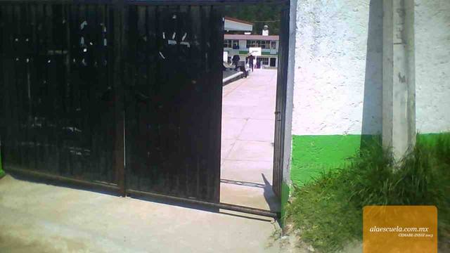 Entrada (vista previa)