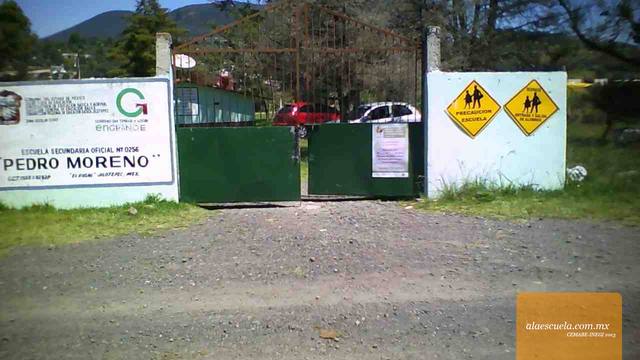 Entrada (vista previa)