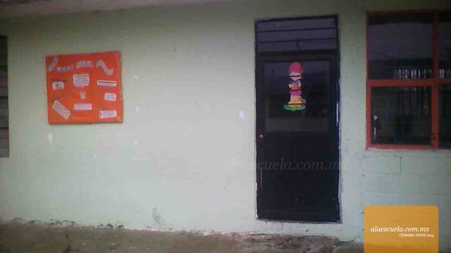 Entrada (vista previa)