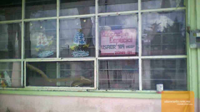 Entrada (vista previa)