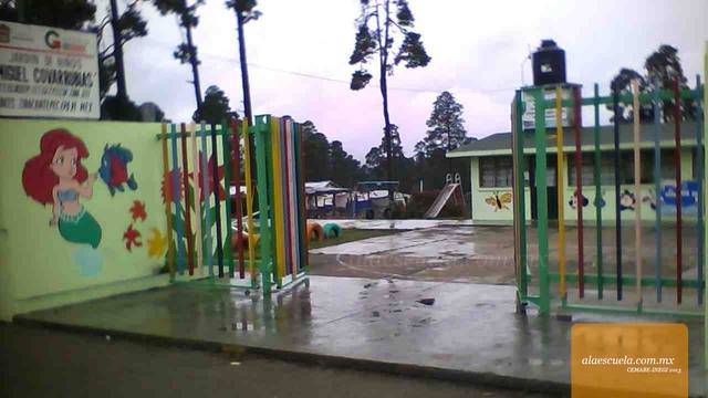 Entrada (vista previa)