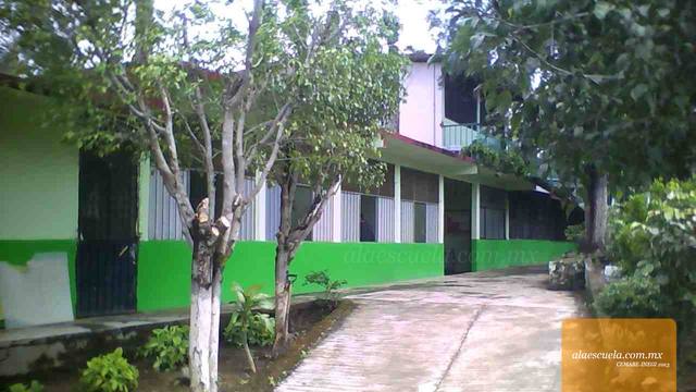 Entrada (vista previa)