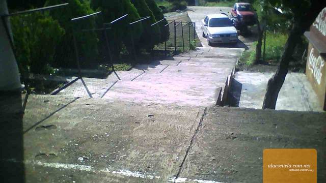 Entrada (vista previa)