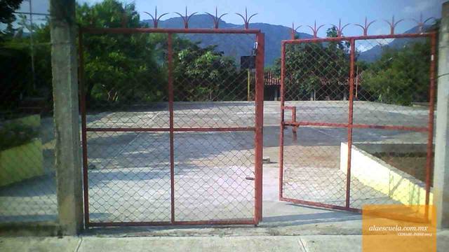 Entrada (vista previa)