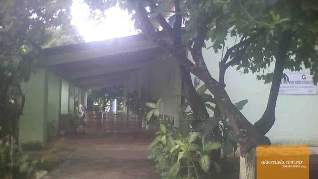 Entrada (vista previa)